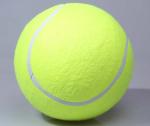 inflatable giant outdoor play ball