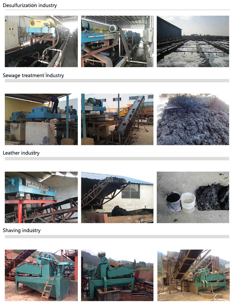 stainless steel 316L whey fines Herbal s Screw sedimentation decanter centrifuge for wastewater treatment