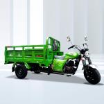 175cc Engine 800 W power DAYANG Heavy-duty Three Wheels Motorcycles for Global