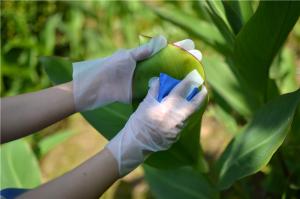 Quality XL Plastic Cleaning Tpe 100pcs/Bag Disposable Kitchen Gloves wholesale