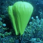 Marine Salvage Flotation Air Lifting Buoyancy Bag For Heavy Equipment Lift