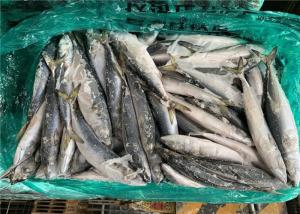 Quality High Protein 120g Scomber Japonicus Fresh Frozen Mackerel wholesale