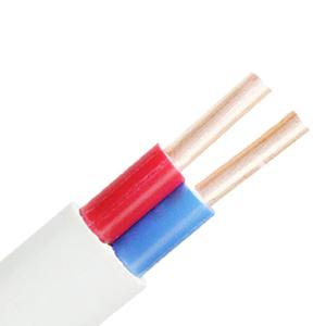 Quality 2*4mm2 2*6mm2 Copper Core Solid PVC Sheathed Flat Electric Wires Cables for Products wholesale