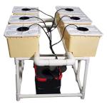 Greenhouse Vegetable Hydroponics Dutch Buckets With Siphon Elbow