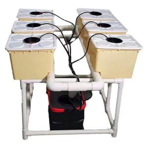 Quality Greenhouse Vegetable Hydroponics Dutch Buckets With Siphon Elbow wholesale