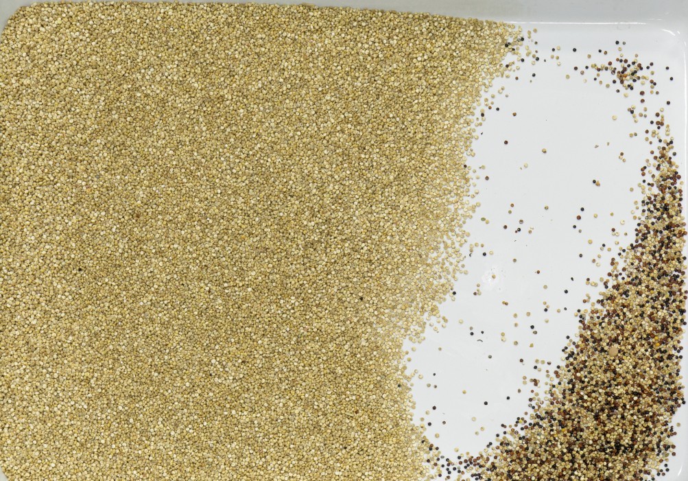 Grain Rice Seeds Tea Plastic Glass Color Sorter Machine