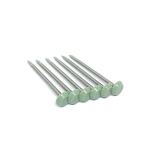 Quality 65mm Length Polished Plastic Headed Nails With Shark Point wholesale