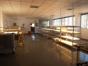 Shenzhen Ice King Technology Co., Ltd