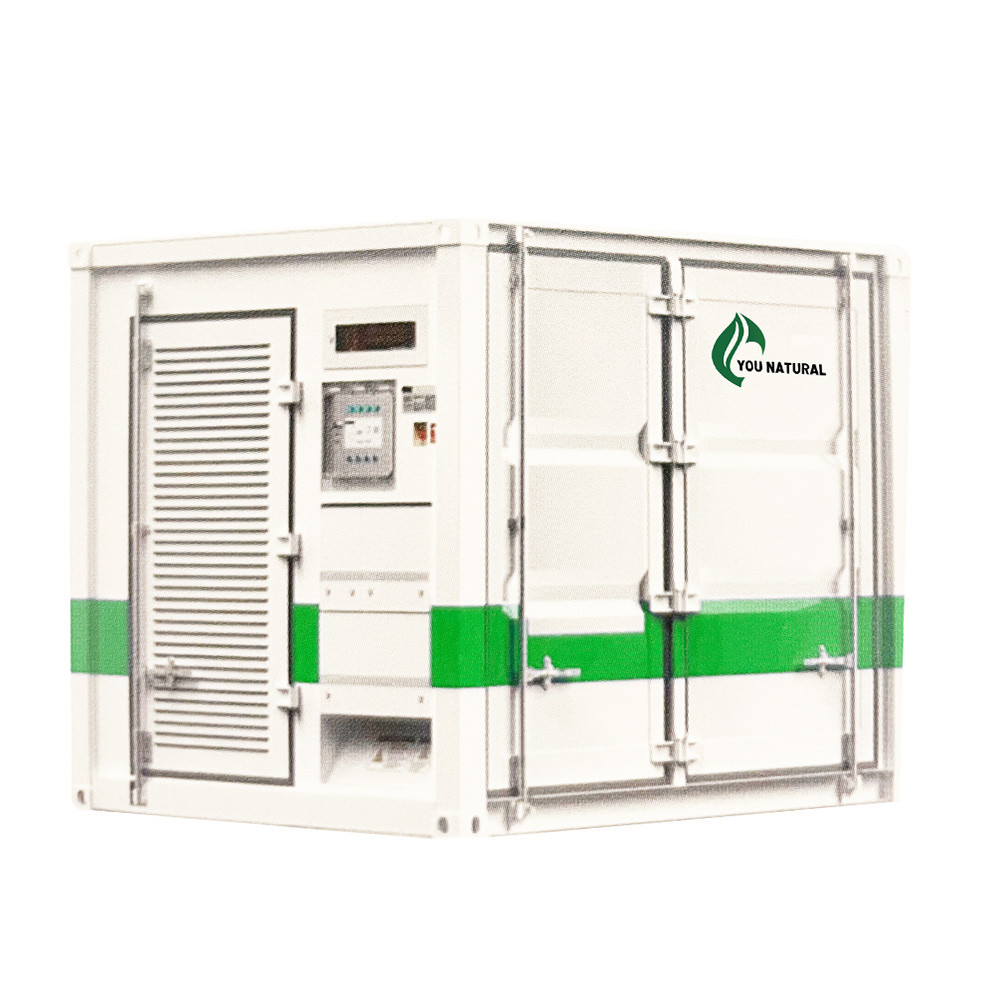 10ft Energy Storage Container ESS Solutions Solar Shipping Container 250kw 500kwh LiFePo4 Battery