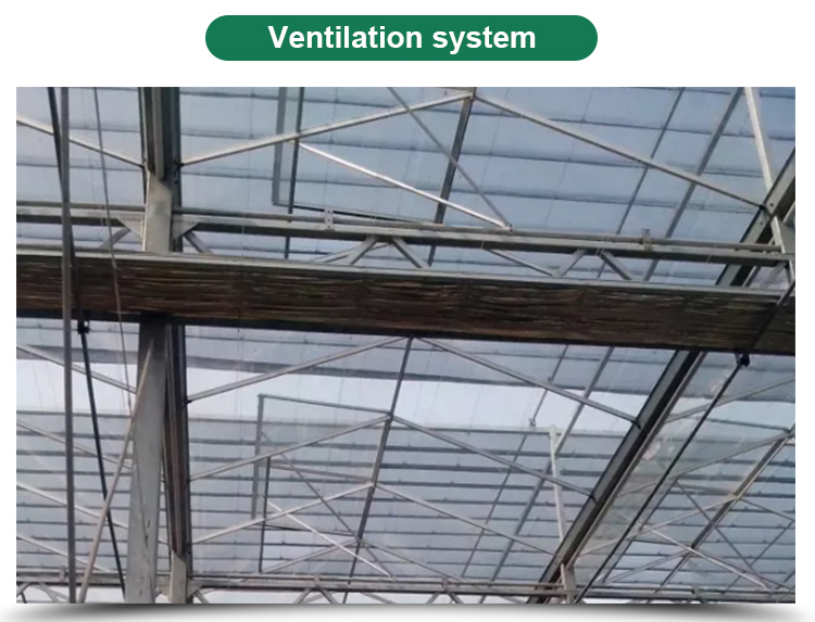 Instruction for Agricultural Glass Hydroponics System Commercial Greenhouses Frame