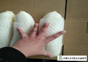 Quality Good Taste Large White Radish , Chinese White Radish HACCP / GAP Standard wholesale