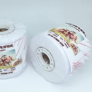 Quality White 240gsm 260gsm Dry Minilab Glossy Photo Paper Roll wholesale