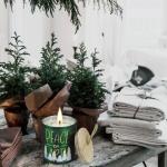 Christmas Gift Set Fir Painted Scented Soy Jar Candles