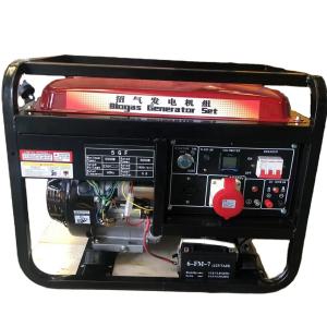 Quality UK Engine 10kW AC Single Phase Gas Generator with Natural Gas Or LPG Biogas For Home wholesale