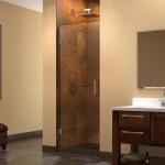 Frameless Single Tempered Glass Door SS Hinge Swing Clear Glass Shower Doors