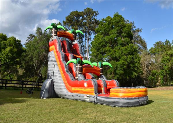 30 FT Huge Inflatable Water Slide Environmental Friendly UV Resistant Strong