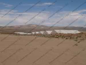 Quality Peach Shape Curved Tent Hard Pressed Extruded Aluminum Alloy Floor System In Desert wholesale