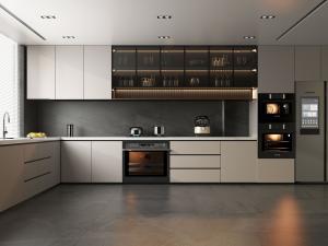 Quality Lacquer Kitchen Designs Manufacturing Modern Modular Kitchen Cabinets wholesale