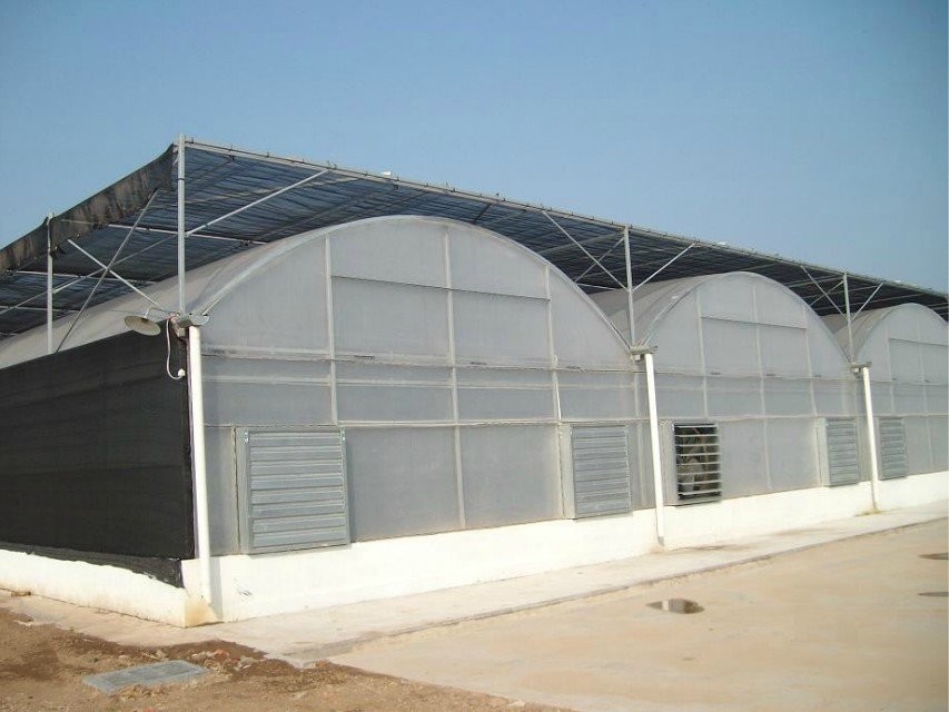 Greenhouse Plastic Sheet/PC Sheet Greenhouse with Stable Structure and Vents