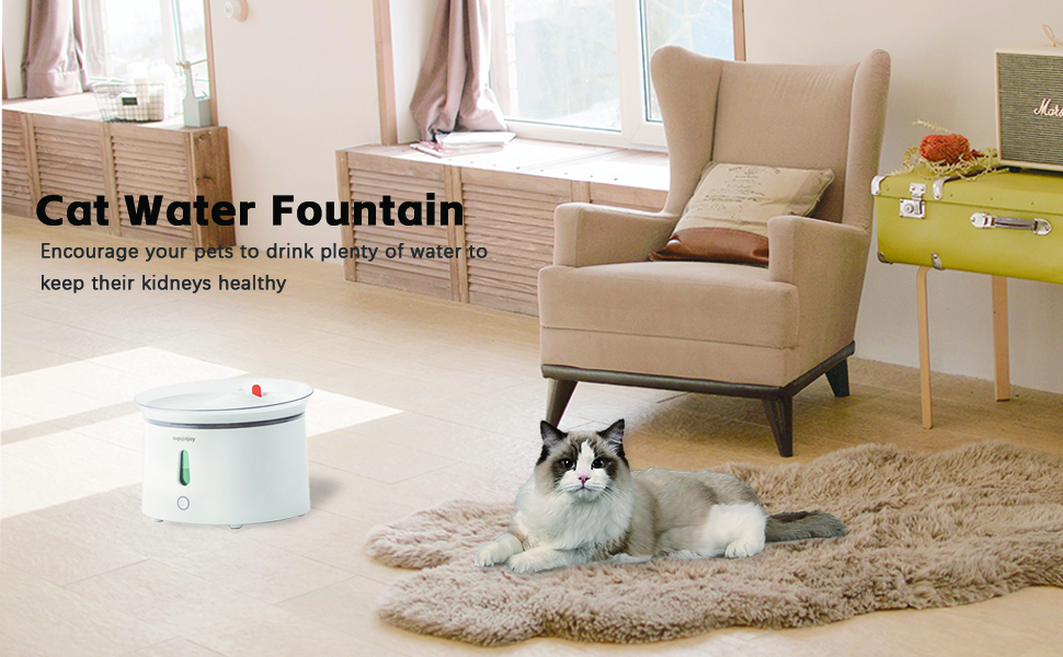 Household Cat Water Fountain With Smart Automatic Circulation Filter And Low Noise