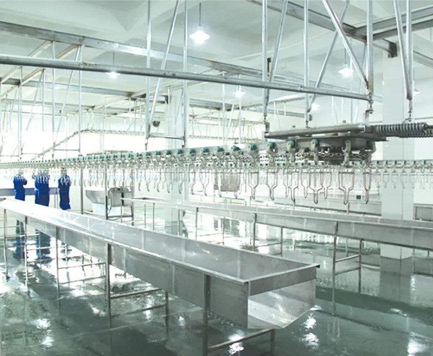2480*1340*1480mm Poultry Slaughtering Line CE Certificate Chicken Feather Plucker