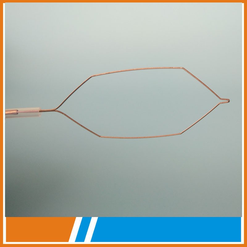 Cold snare polypectomy and hot snare polypectomy