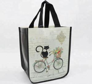 Quality Durable PP Non Woven Bags Silk Screen Printing Foldable With High Bearing Weight 12kg wholesale