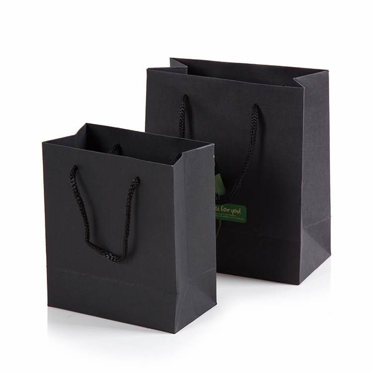Different Types Kraft Paper Gift Shopping Bags With Twisted Handles
