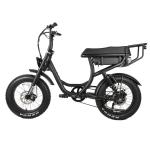 Aluminum Alloy 6061 Frame 2 Seat 500W 750W Off-road Step Through 20 inch Fat