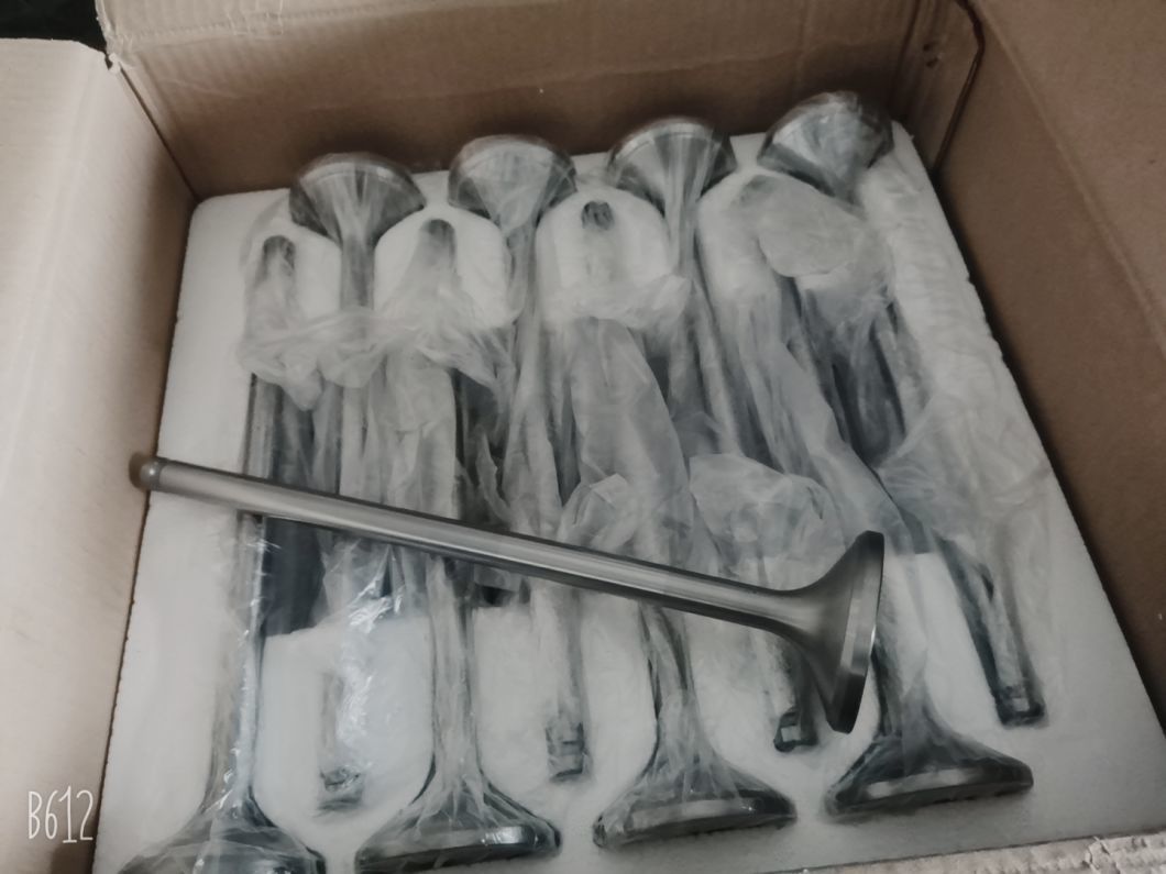 G12V190pzl-3 Jichai Chidong Engine and Spare Parts