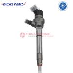 Diesel Common Rail Fuel Injector 0 445 110 443 for GREAT -WALL 1100100-ED01B