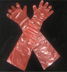 Quality Water Tight Disposable Plastic Gloves , LDPE Long Veterinary Gloves wholesale