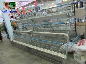 Quality poultry cage for large scale poultry feedcage wholesale