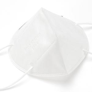 Quality Personal Protection Respiratory KN95 Earloop Mask wholesale