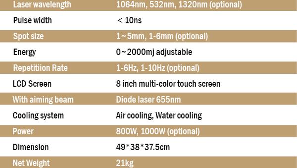 Portable Q Switch ND Yag Laser Machine 1500W With 8.4 Touch Screen