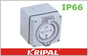 Quality 56SO 66SO series Waterproof Switch Socket Outdoor Industrial Receptacles wholesale