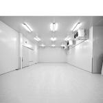 220V/380V/440V Walk-in Freezer Cold Storage Room For Meat And Fruit In