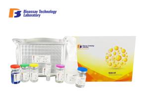Quality 96 / 48 Wells Human Abcb1 Sandwich Elisa Kit With High Sensitivity / Specificity wholesale