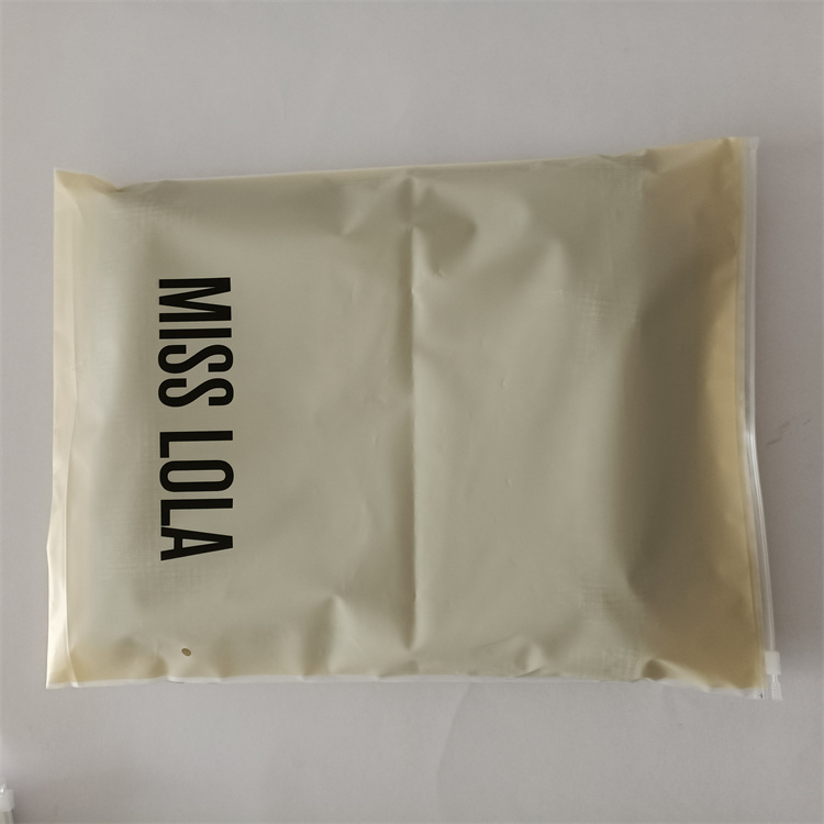 Customize Any Color Moisture Proof Polybags for Shoes and Clothing Frosted Zipper Bag