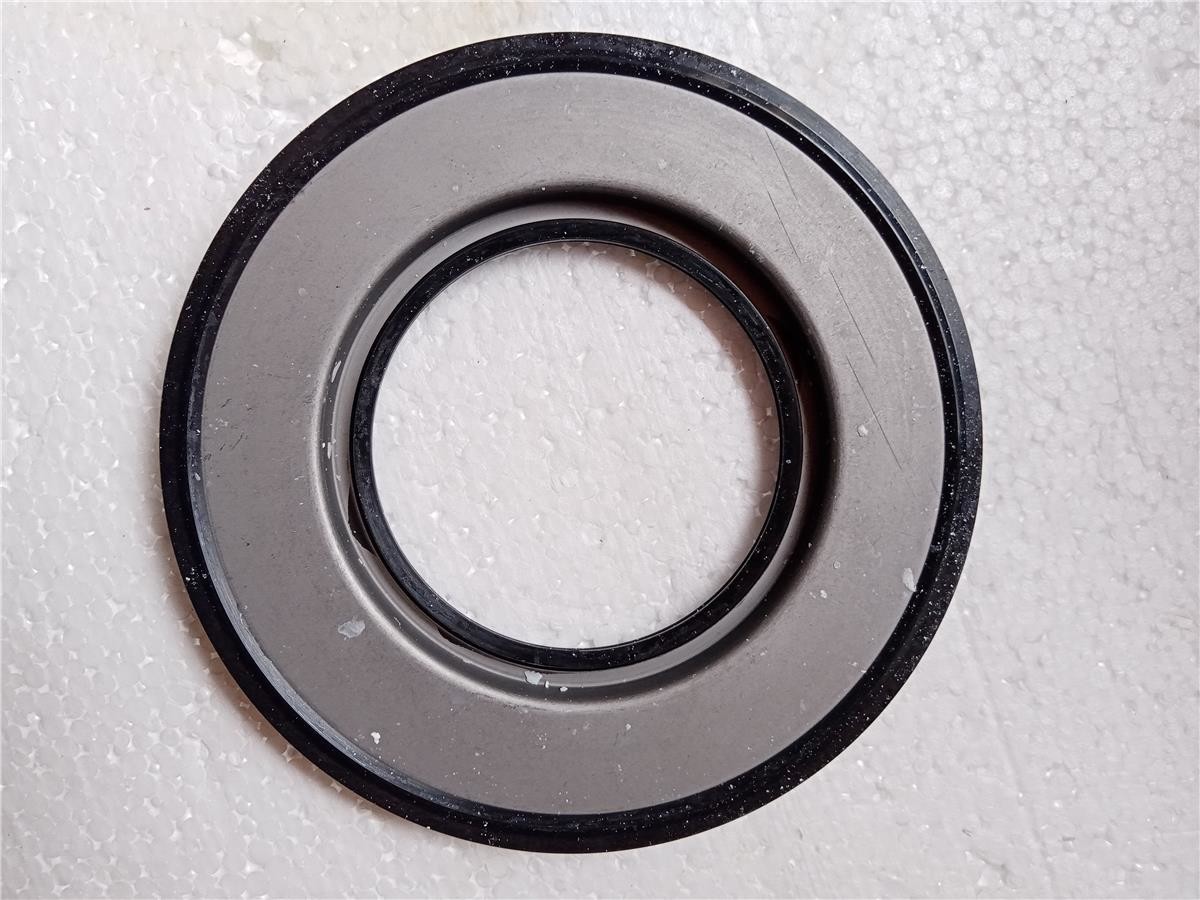 Rear Crankshaft Oil Seal 50209083