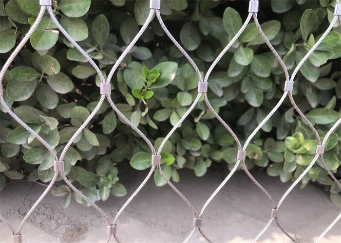 Trellis Aisi Ss316 Inox Stainless Steel Netting Mesh Outdoor