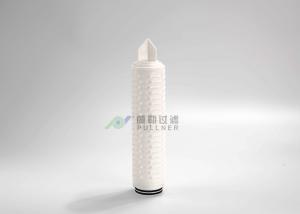 Quality 100% Integrity Test Pharmaceutical Filters PES Membrane Pleated Filters wholesale