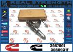 N14 Common Rail Fuel Injector 4307516N 3411767T 3407776 3087807 341176