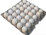 700-900 pcs/h Paper Egg Tray Making Machienry (FC-ZMW-3)
