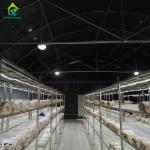 Commercial Plastic Film Automated Retractable Blackout Fully Light Deprivation