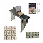 Convenient Transportation Egg Batch Number Printing Machine For Green Food Logo
