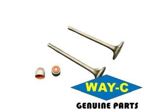 Quality Motorcycle Engine Valve Kit M1010550 / M1010560 Intake Exhaust Val For TVS HLX125 wholesale