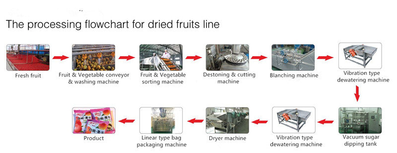 Professional Pear Chips Apple Processing Line 440V Turnkey Project
