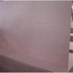 First Class WBP Phenolic 1220×2440mm Bintangor Plywood