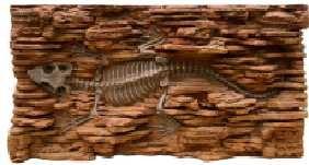 Quality PU Simulated Terrarium Rock Background Non Toxic Moisture Resistant wholesale
